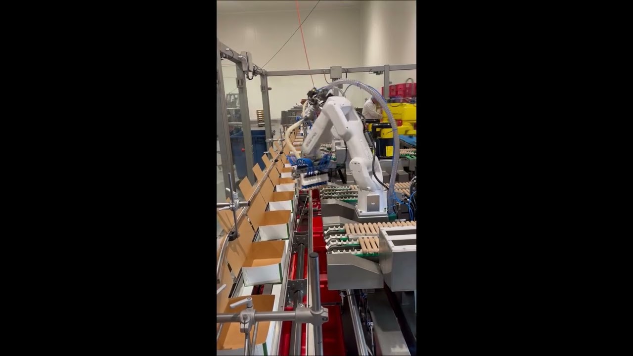 Frikandellen verpakken